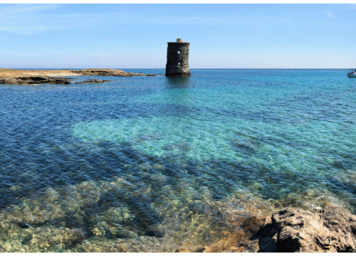 Walking Holiday Around Cap Corse – Corsica’s Hidden Paradise