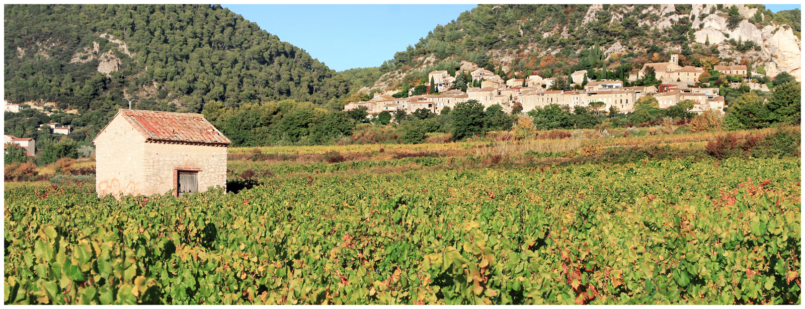 Wine & Walking Around Mont Ventoux – Discover the Heart of Provence