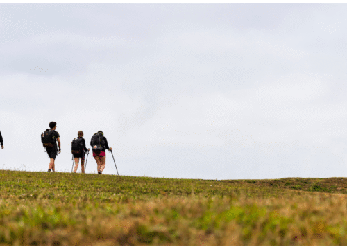 Camino del Norte: From Vilalba to Santiago – A Pilgrim’s Journey through Galicia