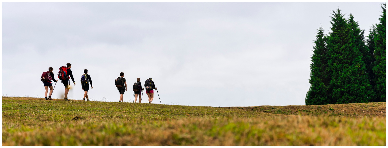 Camino del Norte: From Vilalba to Santiago – A Pilgrim’s Journey through Galicia