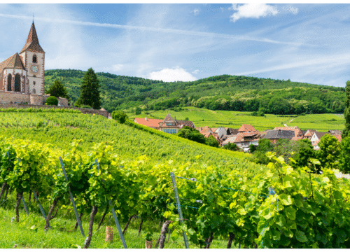 The Vosges Mountains & Alsace Vineyards – A Journey Through Wine, Castles & Culture