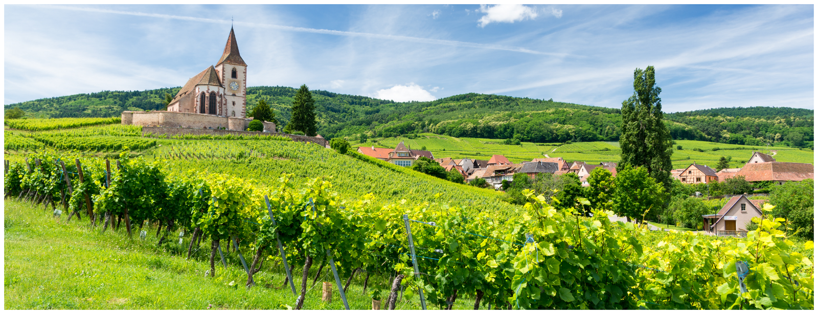 The Vosges Mountains & Alsace Vineyards – A Journey Through Wine, Castles & Culture