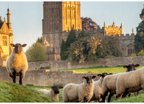 Walking Holiday on the Cotswold Way – From Chipping Campden to Bath