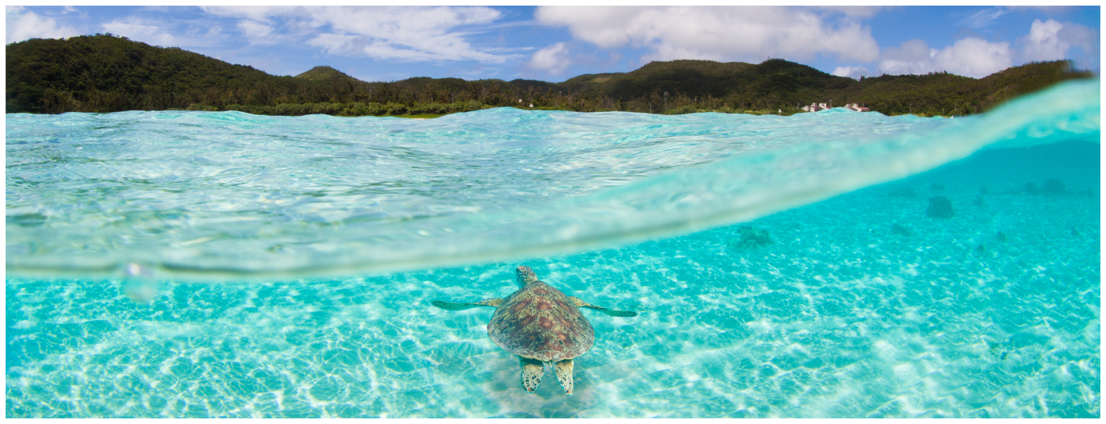 Diving Holiday in Zakynthos – 8 Days / 7 NightsExplore the Ionian Sea’s Underwater Paradise
