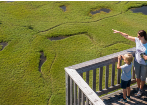 Lechweg Trail: 6 Days of Alpine Wonders from Austria to Bavaria