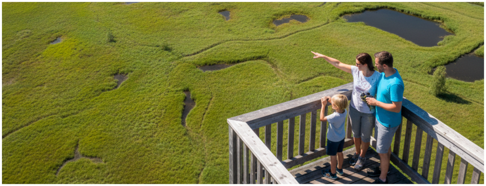 Lechweg Trail: 6 Days of Alpine Wonders from Austria to Bavaria