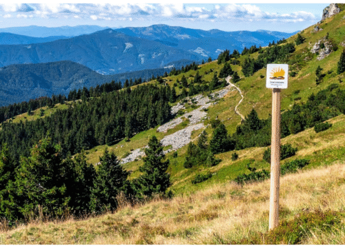 Walking Holiday: From the Black Forest to Lake Constance