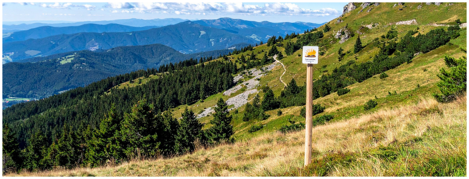 Walking Holiday: From the Black Forest to Lake Constance