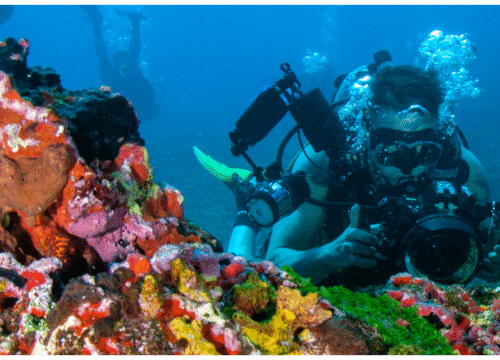 Diving Adventure in Aqaba – Discover Jordan’s Underwater Paradise