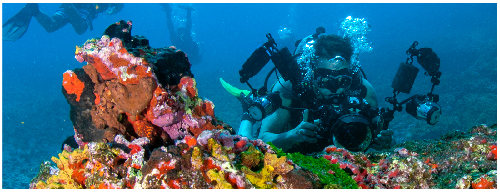 Diving Adventure in Aqaba – Discover Jordan’s Underwater Paradise