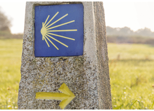 The Portuguese Camino ➤ Tui to Santiago – Easy & Elegant Journey