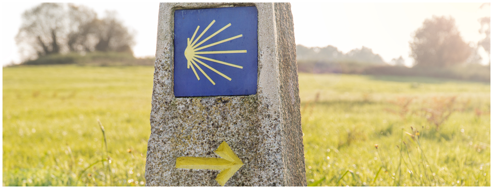 The Portuguese Camino ➤ Tui to Santiago – Easy & Elegant Journey