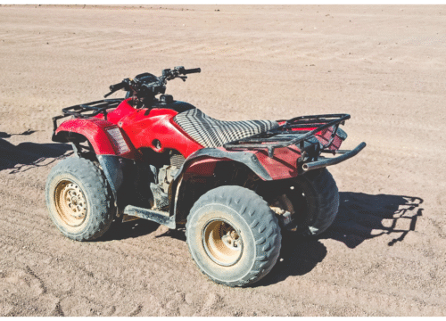 Safari Adventure With Camel Ride & Full Body Massage