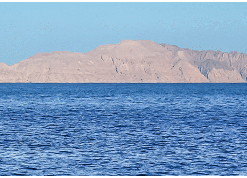 Full Day Professional Diving & Snorkeling Adventure to Tiran Island – Red Sea Magic from Sharm El Sheikh