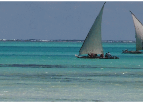 Safari Blue Adventure – Your Perfect Ocean Escape