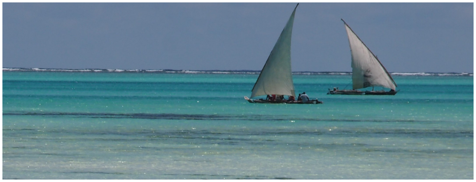 Safari Blue Adventure – Your Perfect Ocean Escape