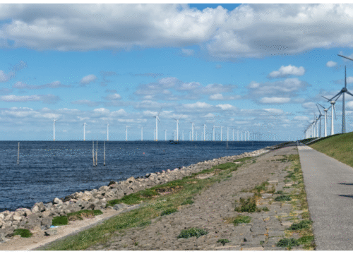 Cycling Holiday around IJsselmeer – 8 Days Adventure