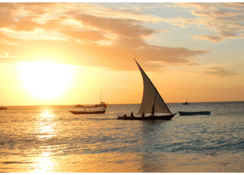 Northern Zanzibar Maximum Adventure – Discover the Best of the North!