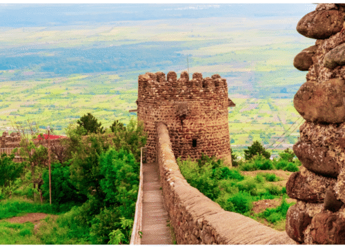 Day Trip to Kakheti and Wine Tasting – Discover Georgia’s Wine Paradise