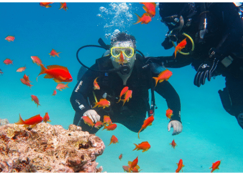 Bayadah Island Snorkeling and Water Sports Adventure – Discover the Red Sea’s Hidden Gem