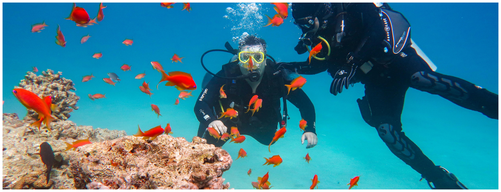 Bayadah Island Snorkeling and Water Sports Adventure – Discover the Red Sea’s Hidden Gem