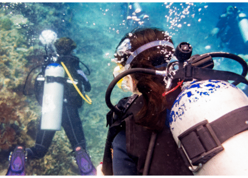 Red Sea Diving for Beginners – Discover the Wonders Beneath Jeddah’s Waves