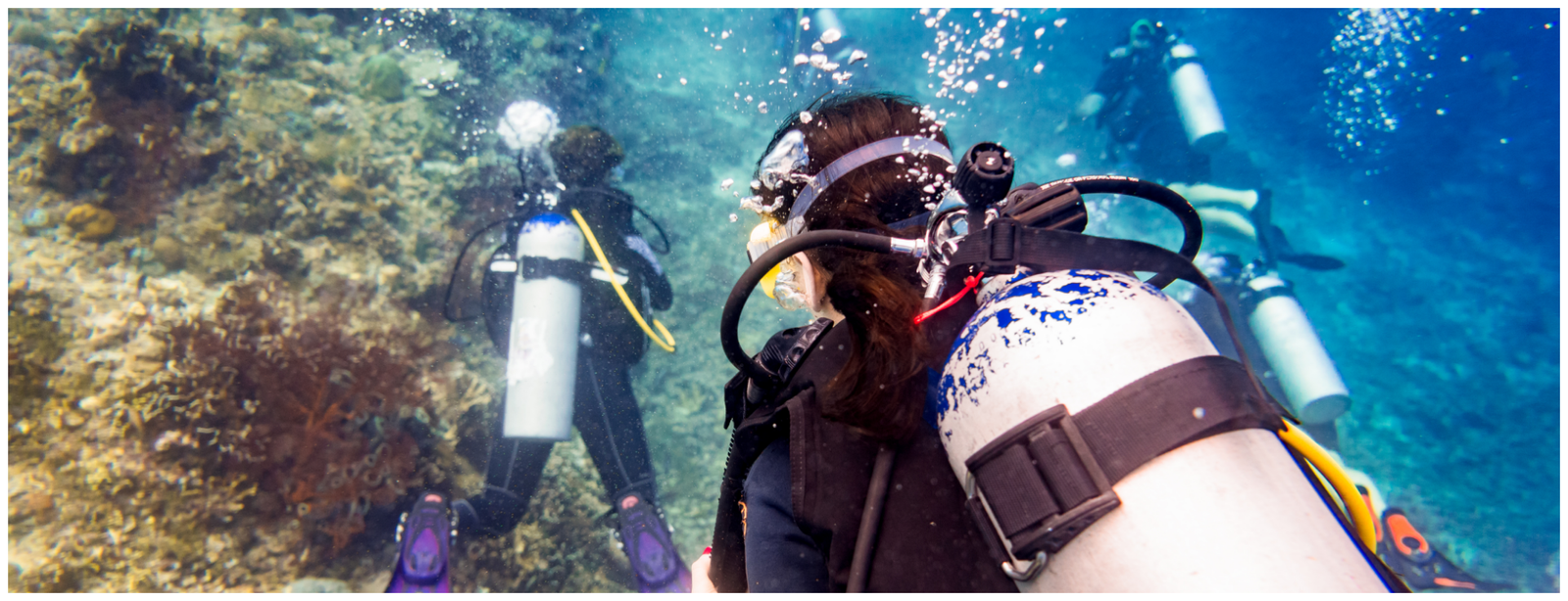 Red Sea Diving for Beginners – Discover the Wonders Beneath Jeddah’s Waves