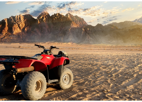 Desert Safari Adventure with Quad Biking and Bedouin Experience – Feel the Thrill of Jeddah’s Golden Sands