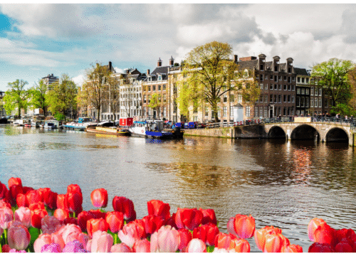 Cycling Holiday Through The Netherlands’ Most Beautiful Cities