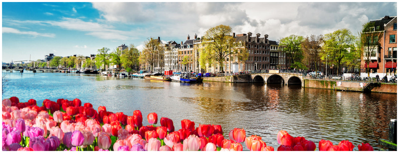 Cycling Holiday Through The Netherlands’ Most Beautiful Cities