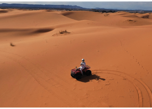 Super Safari Adventure in Sharm El Sheikh – Quad Biking, Camel Ride, BBQ Dinner & Live Show