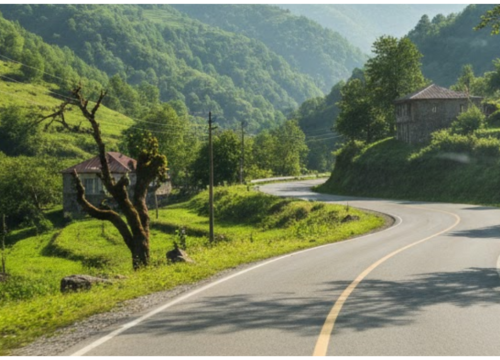 Mountain Treasures of Adjara: A Day at Borjgalo