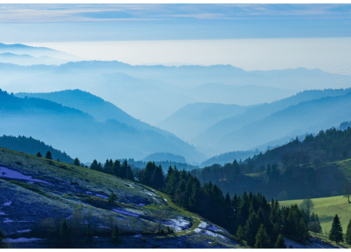 Hiking in The Black Forest – 8 Days Walking Holiday