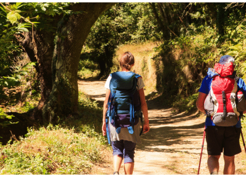 Walking Holiday on the Saint Olav Way – Pilgrim Path