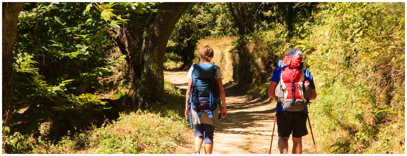 Walking Holiday on the Saint Olav Way – Pilgrim Path