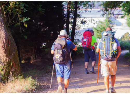 The Portuguese Camino ➤ Baiona to Santiago – Easy Version