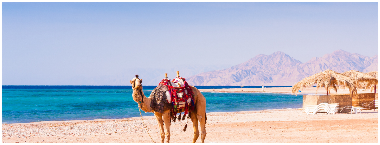 Orange Bay Island Snorkeling Trip with Parasailing