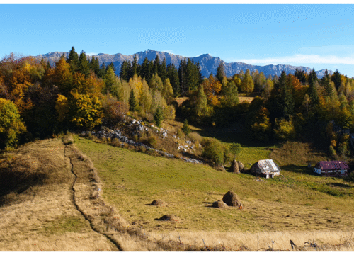 Hiking in Transylvania ➤ Discover the Magic of Piatra Craiului & Bucegi Mountains