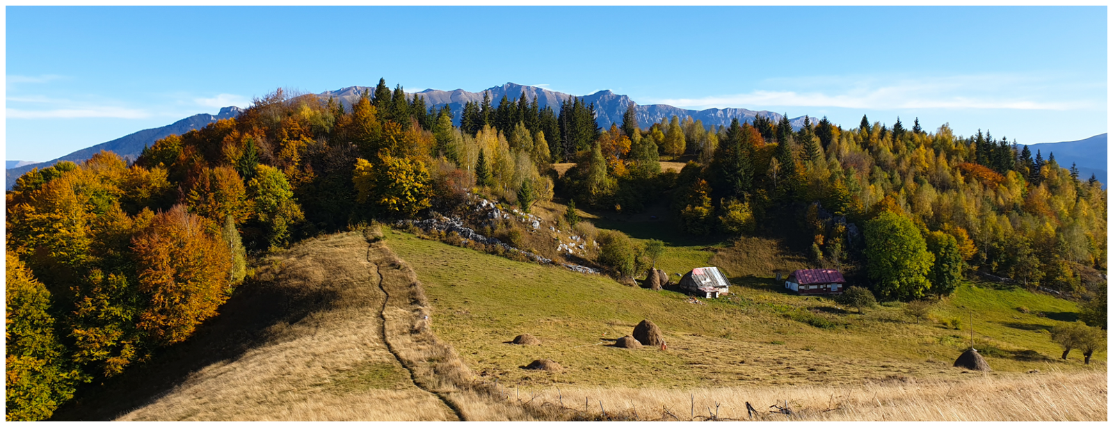 Hiking in Transylvania ➤ Discover the Magic of Piatra Craiului & Bucegi Mountains