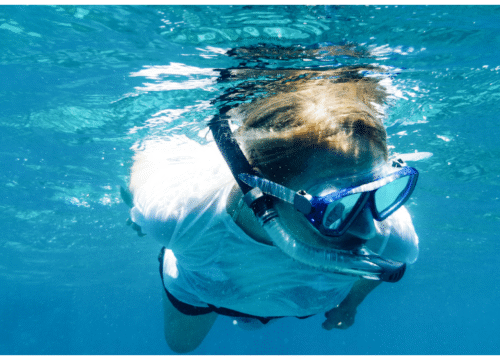 Snorkeling Adventure at Mnemba Reef – Explore Zanzibar’s Underwater Paradise