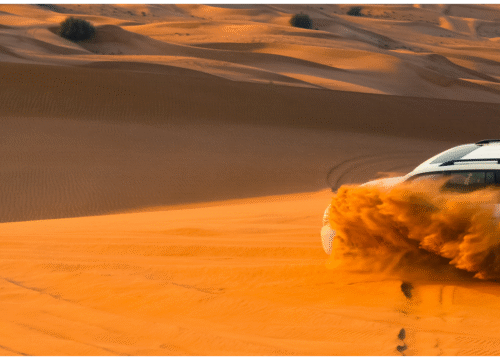 Sharjah Desert Adventure: Thrills & Tranquility in the Golden Dunes